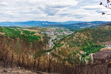 Dağlarda yanmış ormanı