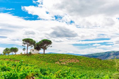 yeşil alan ile peyzaj