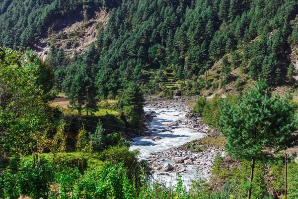 Fiume di montagna puro — Foto Stock