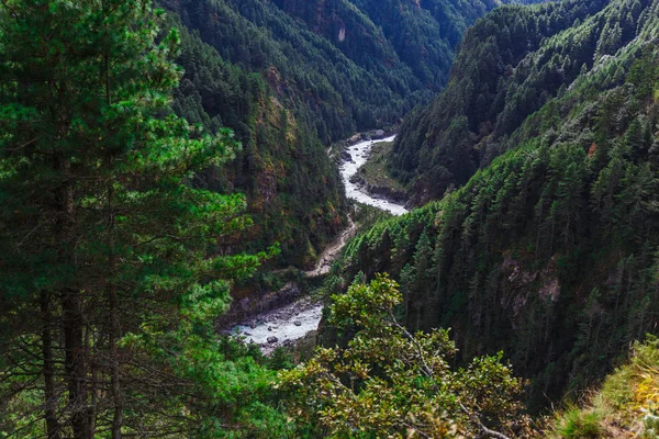Rio de montanha puro — Fotografia de Stock