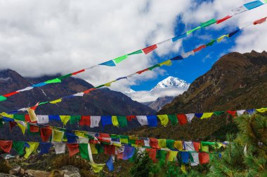 Dağların güzel manzarası