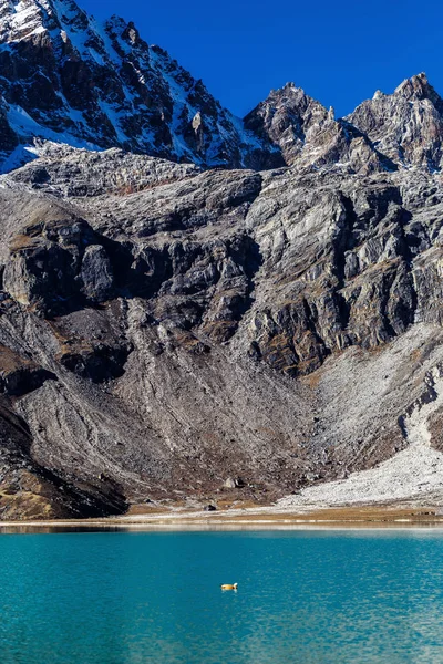 Λίμνη στα βουνά — Φωτογραφία Αρχείου
