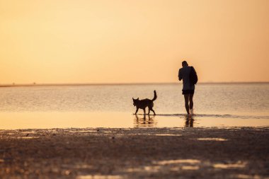 Denizde köpeği olan bir adam.