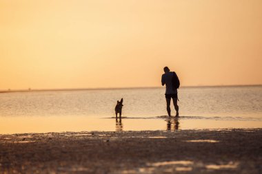 Denizde köpeği olan bir adam.