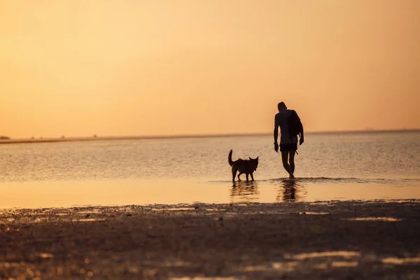 男人在海里带着狗 — 图库照片
