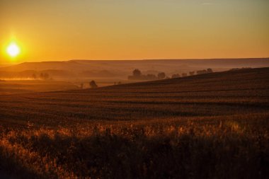 Camino şaşırtıcı sunrise