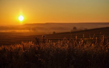 Camino şaşırtıcı sunrise
