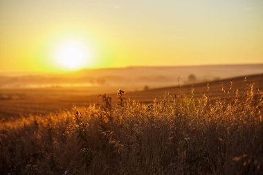Camino şaşırtıcı sunrise