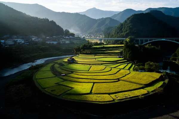 Aragishima rice terraced field,Wakayama,Japan — Stock Photo, Image