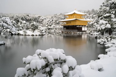 Kinkakuji Tapınağı ve kar manzara, Kyoto, Turizm Japonya