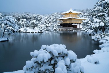 Kinkakuji Tapınağı ve kar manzara, Kyoto, Turizm Japonya