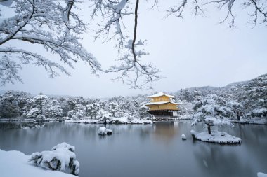 Kinkakuji Tapınağı ve kar manzara, Kyoto, Turizm Japonya