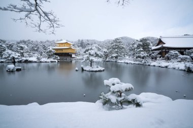 Kinkakuji Tapınağı ve kar manzara, Kyoto, Turizm Japonya