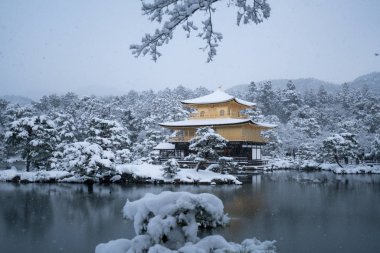 Kinkakuji Tapınağı ve kar manzara, Kyoto, Turizm Japonya
