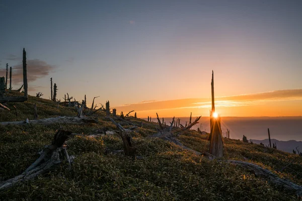 breaking dawn of Masaki mountain pass at Odaigahara,Nara,Japan