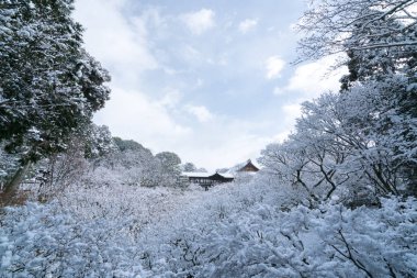 Tutenkyo Köprüsü'nde Tofukuji Tapınağı kar sahne, Kyoto, Turizm Japonya