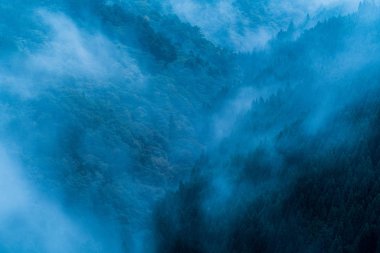 Nosegawa sisli dağı, Nara, Japonya