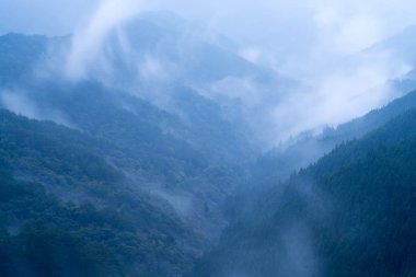 Nosegawa sisli dağı, Nara, Japonya