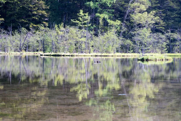 Myojin Dam Ved Kamikochi Nagano Japan - Stock-foto