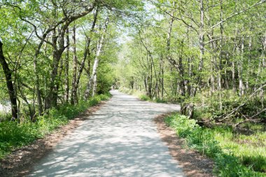 Bahar zamanı Kamikochi, Nagano, Japonya