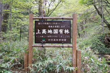 Bahar zamanı Kamikochi, Nagano, Japonya
