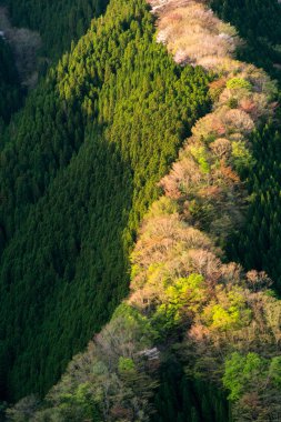 Namego Vadisi, Kamikitayama Köyü, Nara, Japonya