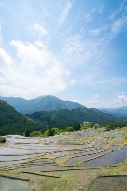 Maruyama pirinç terası, mie, Japonya turizmi