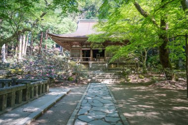 Murou tapınağı, uda şehri, nara, Japonya turizmi