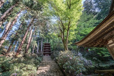 Murou tapınağı, uda şehri, nara, Japonya turizmi