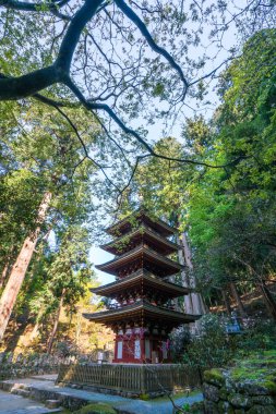 Murou tapınağı, uda şehri, nara, Japonya turizmi