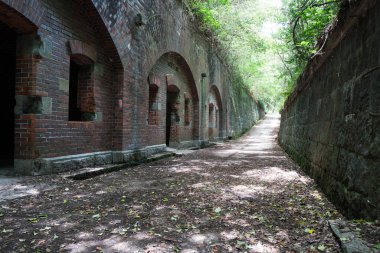 Tomogashima Adası, Wakayama, Japonya Turizmi