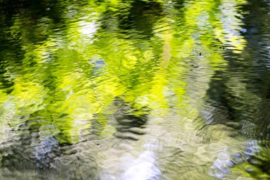 Yeşil yaz ağaçlarının yansımasıyla nehir yüzeyi