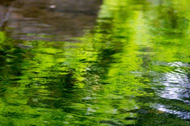 Yeşil yaz ağaçlarının yansımasıyla nehir yüzeyi