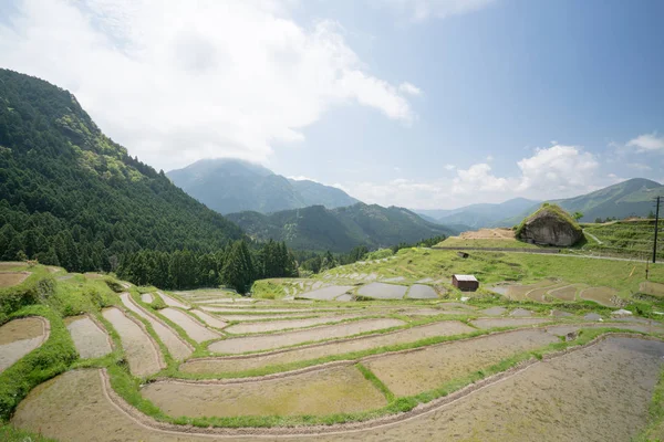 Maruyama Rice Terrace Mie Tourism Japan — Stock Photo, Image