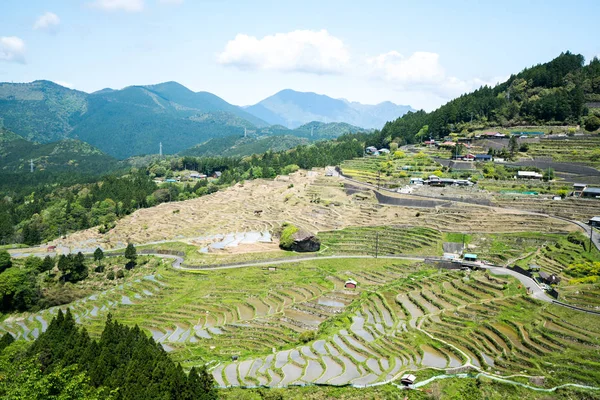 Maruyama rice terrace,mie,tourism of japan