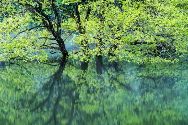 Murou Symmetry Lake Verdure Uda Ciyu Nara Japan — Stock Photo, Image