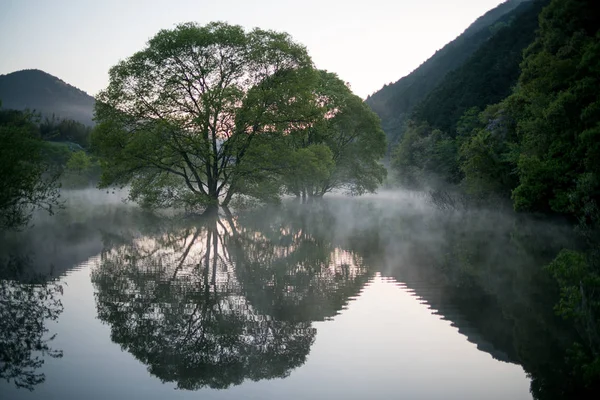 Simetria Murou Verdure Lago Uda Ciyu Nara Japão — Fotografia de Stock