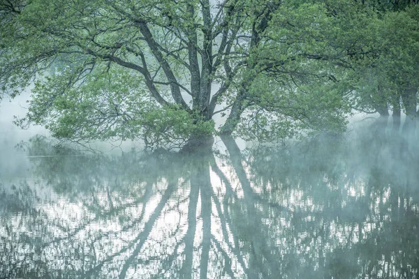 Murou Symétrie Lac Verdure Uda Ciyu Nara Japon — Photo