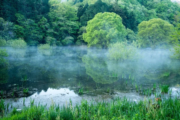 Murou Symmetry Lake Verdure Uda Ciyu Nara Japan — Stock Photo, Image
