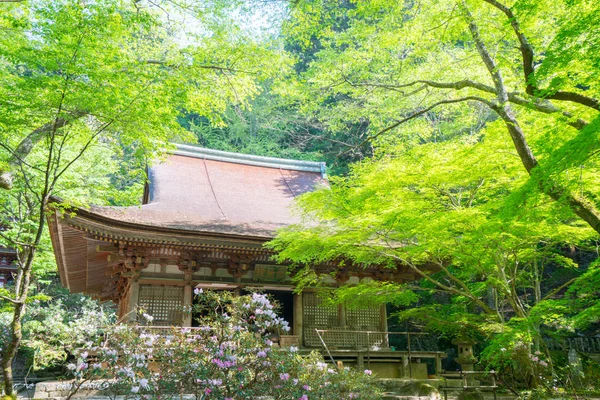 Murou Chrám Uda Město Nara Cestovní Ruch Japonska — Stock fotografie