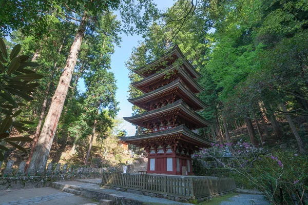 Murou Chrám Uda Město Nara Cestovní Ruch Japonska — Stock fotografie