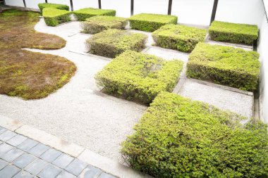 Tofukuji Tapınağı 'ndaki Zen bahçesi, Kyoto, Japonya turizmi.