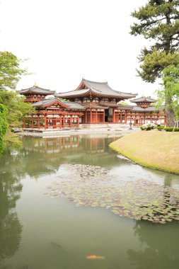 Byodo Tapınağı, Kyoto, Japonya Turizmi