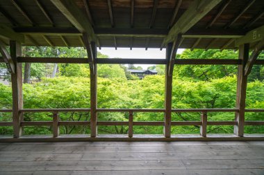 Tofukuji tapınağında Japon akçaağaç yaprağı, Kyoto, Japonya turizmi.