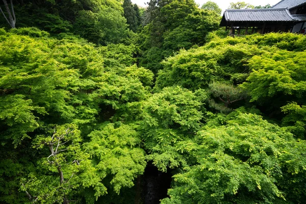 東福寺の紅葉 日本の観光情報はJourney Japan — ストック写真