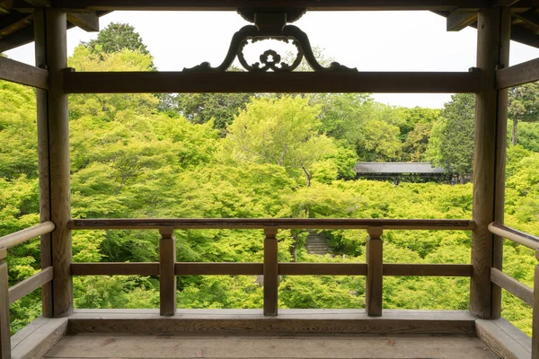 Hoja Arce Japonés Tofukuji Templo Kyoto Turismo Japón —  Fotos de Stock