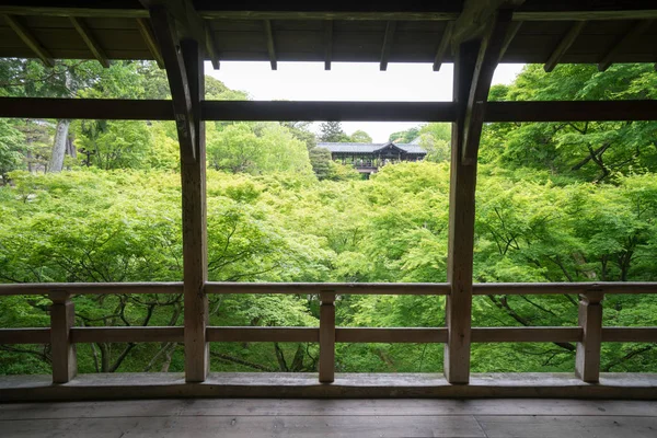 Feuille Érable Japonaise Temple Tofukuji Kyoto Tourisme Japon — Photo