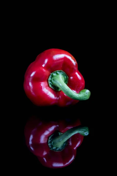 Um único pimentão vermelho doce com reflexo — Fotografia de Stock