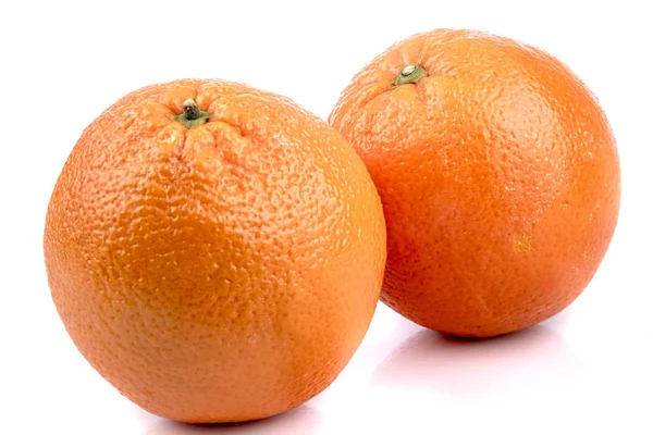 在白色背景上分离的柑橘类水果 — 图库照片