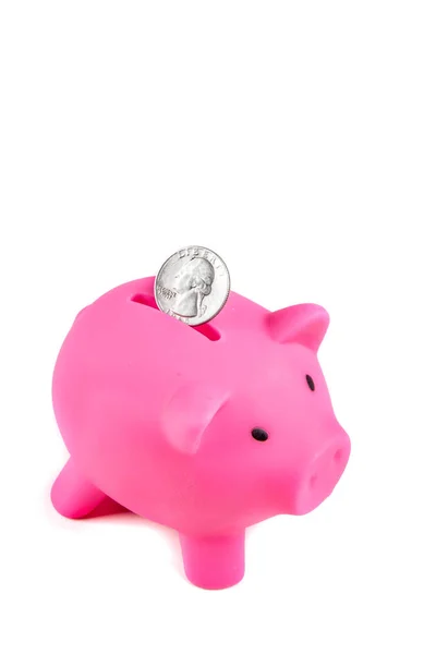 Piggy bank with a coin — Stock Photo, Image